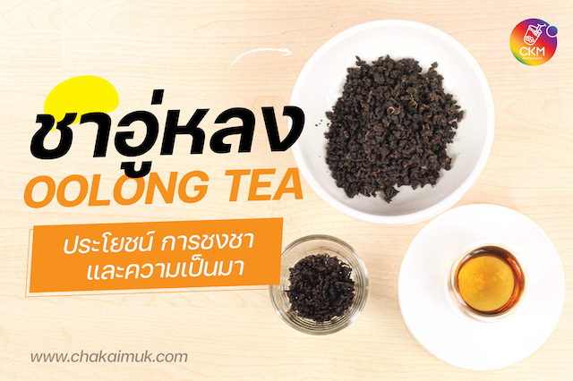 ความเป็นมาของ ใบชา ชาอู่หลง oolongtea ประโยชน์ของชาอู่หลง การชงชาอู่หลง ที่ คนรักชา ต้องรู้